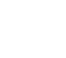 Grupo Mister